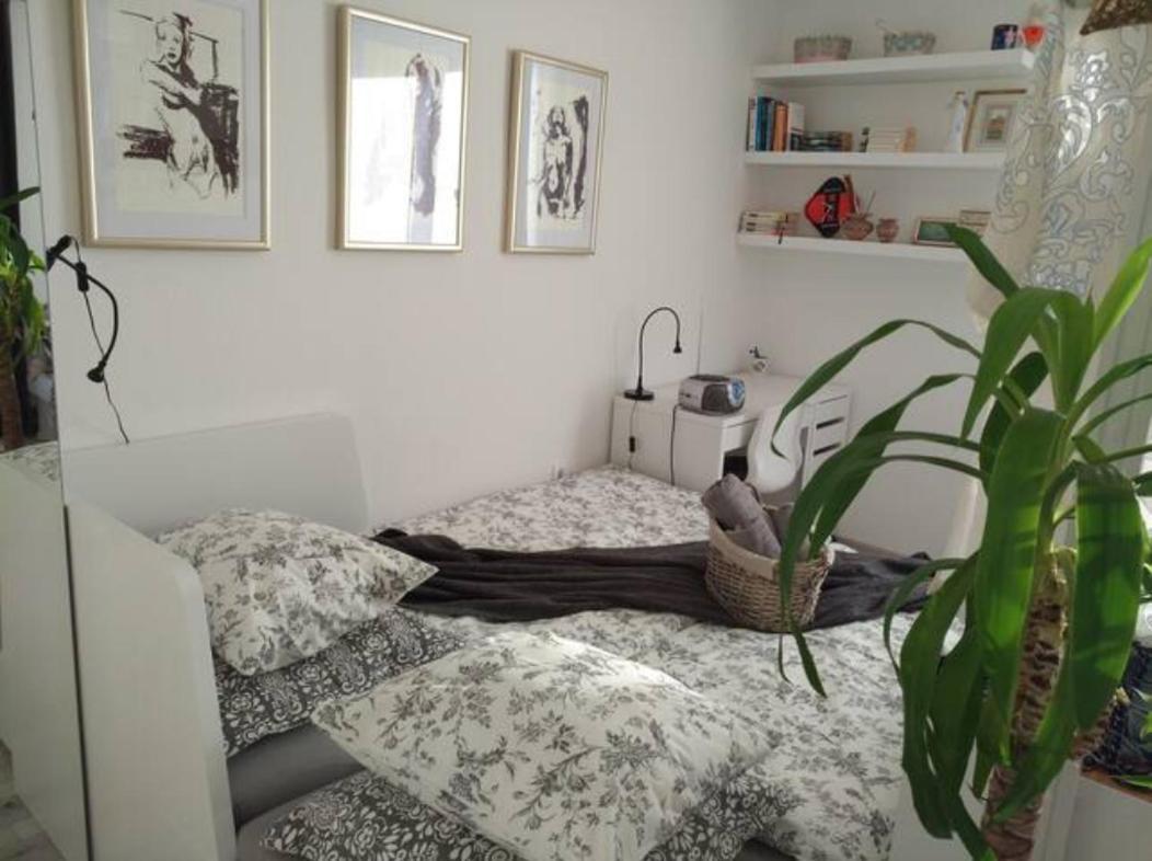New Studio Apartment Sun With Free Parking ザグレブ エクステリア 写真