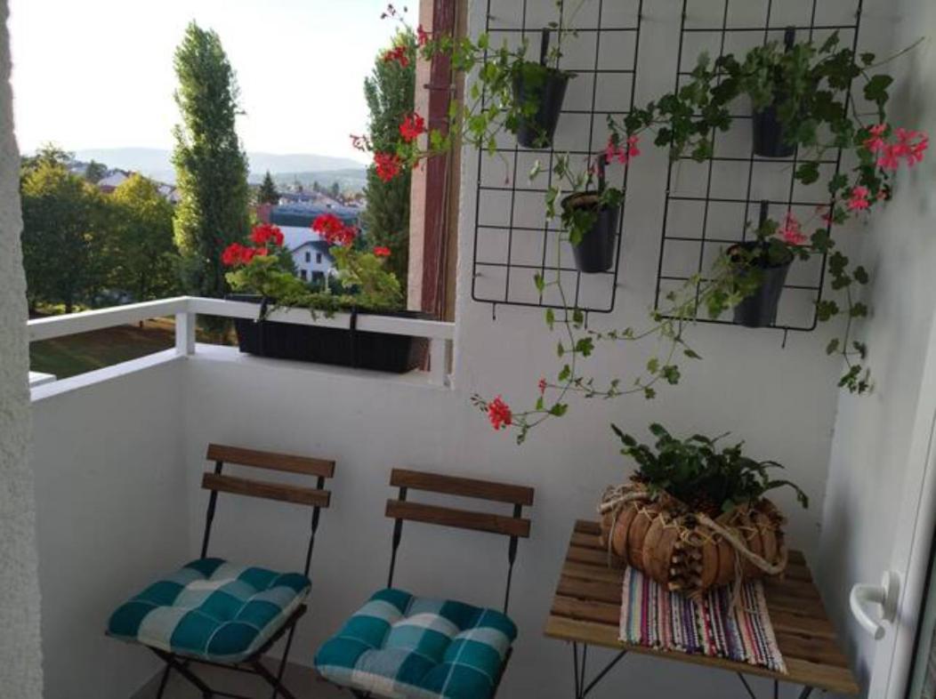 New Studio Apartment Sun With Free Parking ザグレブ エクステリア 写真