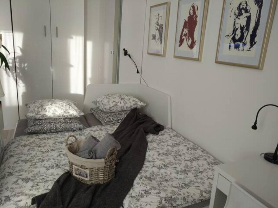 New Studio Apartment Sun With Free Parking ザグレブ エクステリア 写真