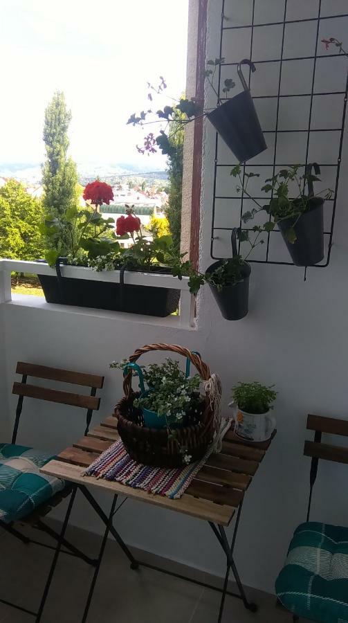 New Studio Apartment Sun With Free Parking ザグレブ エクステリア 写真