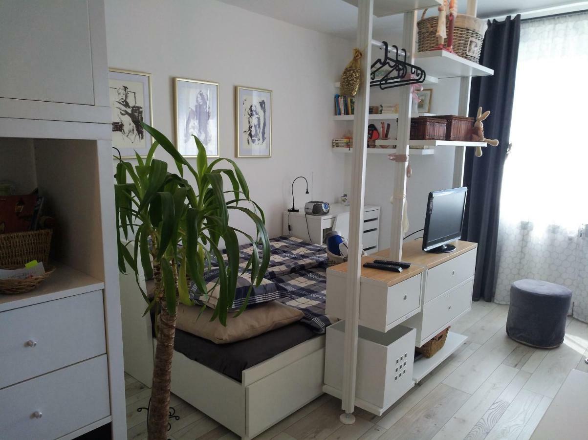 New Studio Apartment Sun With Free Parking ザグレブ エクステリア 写真